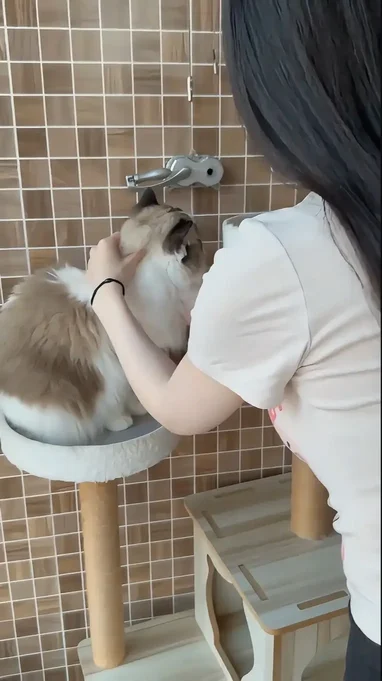 日本好妈妈
